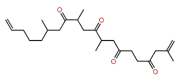 Amphidinoketide II